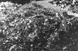 Gafas de sol de víctimas en Auschwitz. Wikimedia Commons